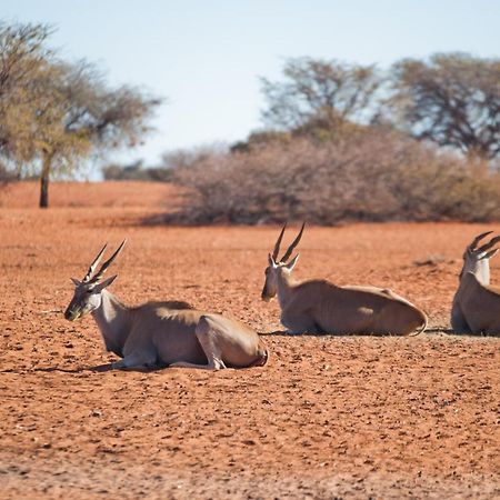Kalahari Anib Campsite Hardap Bagian luar foto